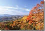 Gatlinburg, TN